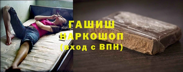 молекула духа Богородицк