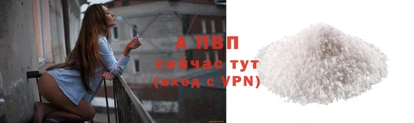 молекула духа Богородицк