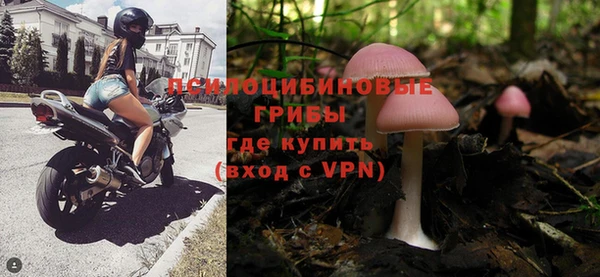 молекула духа Богородицк