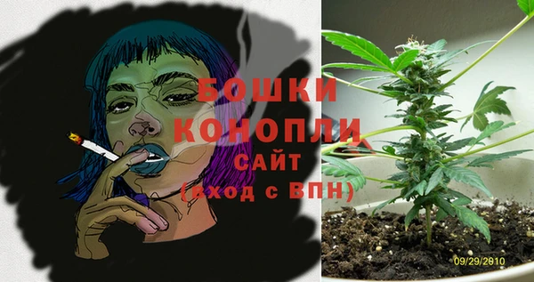 молекула духа Богородицк