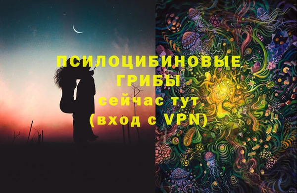 каннабис Богданович