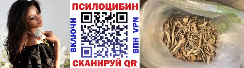 Купить где  Новоржев  Псилоцибиновые грибы прущие грибы 